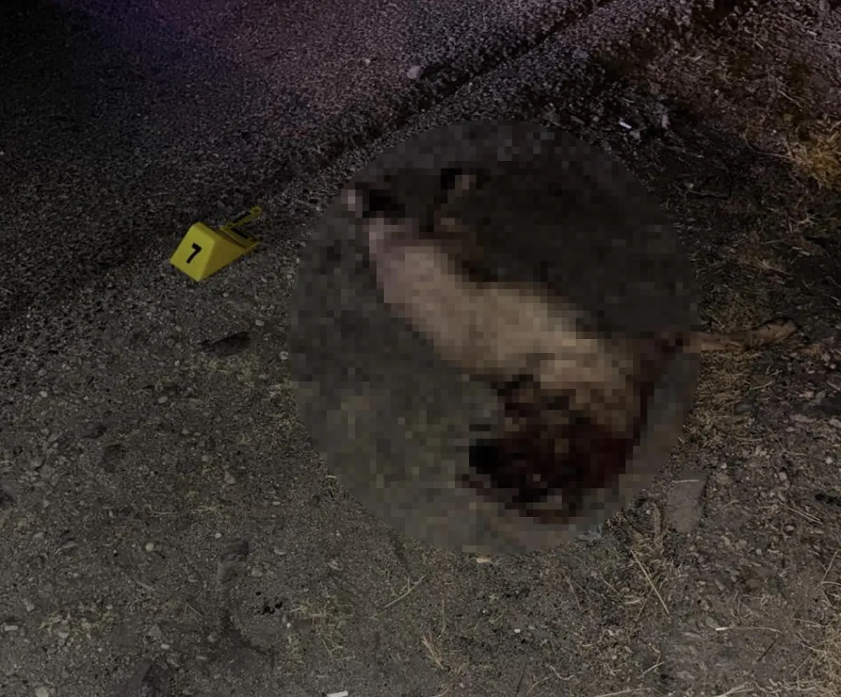 68Ac5D345D485552 W1200Xh995