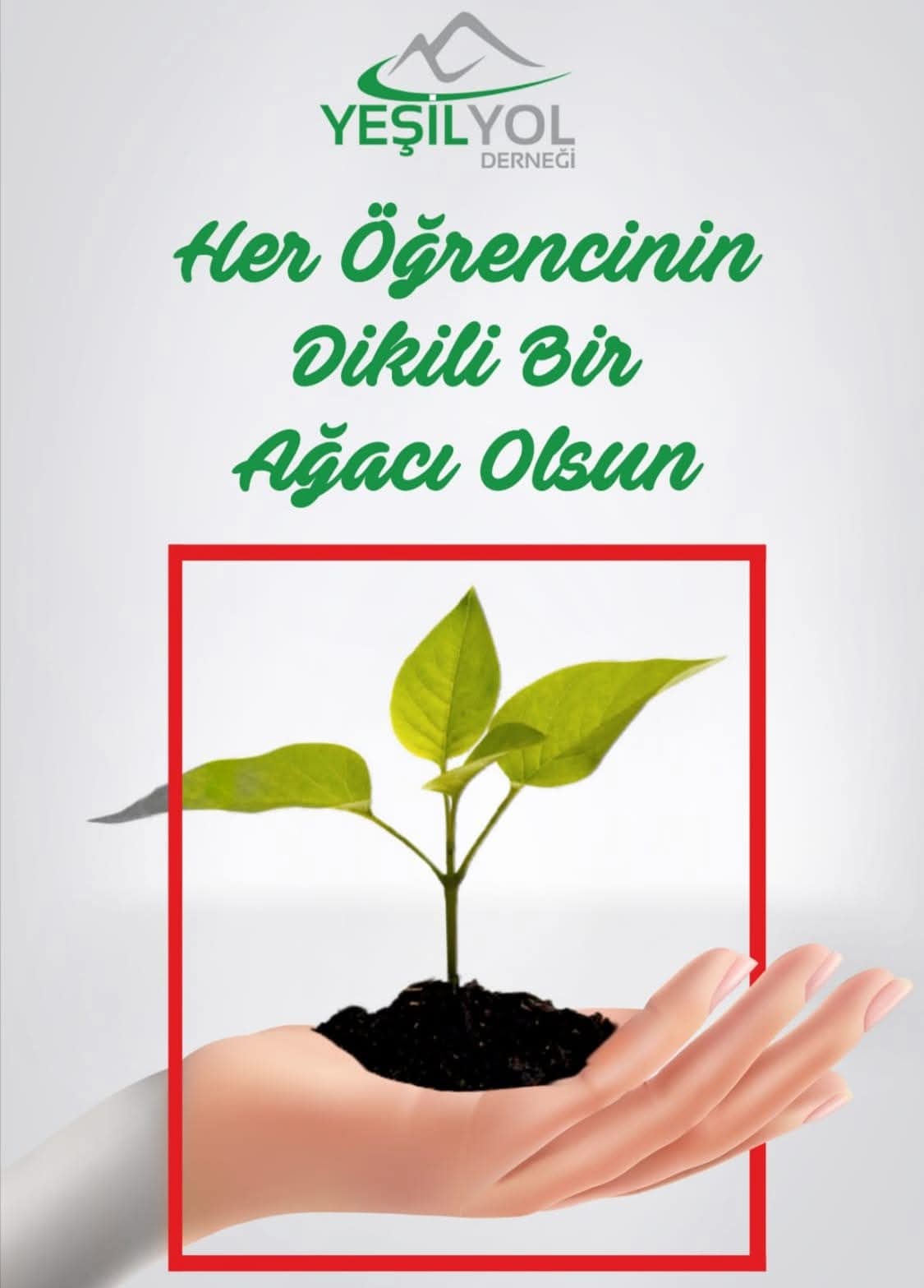 91C4Bde1 037B 402A Aa63 Fd576Bfc0831