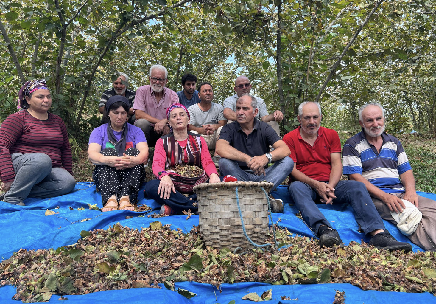 Ekran Resmi 2025 08 02 08.31.33