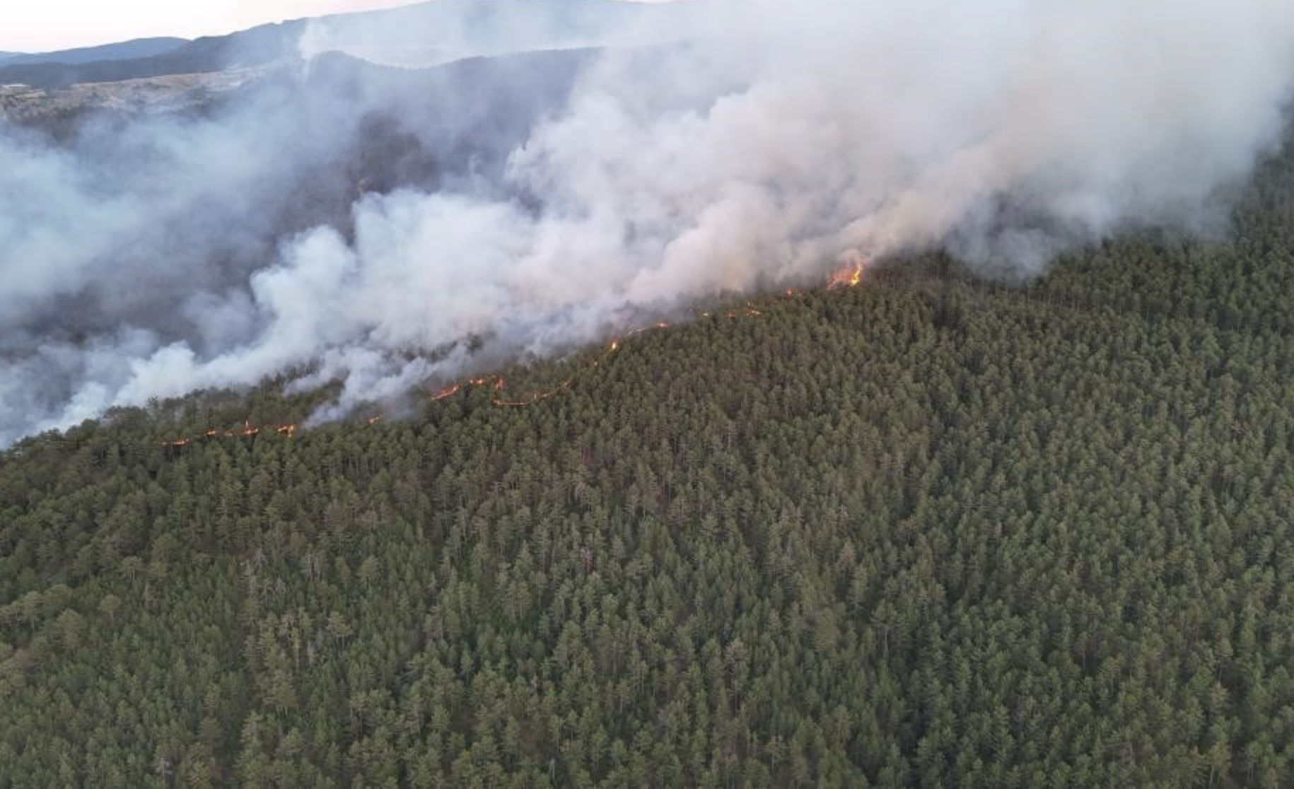 Ekran Resmi 2025 08 03 09.35.03