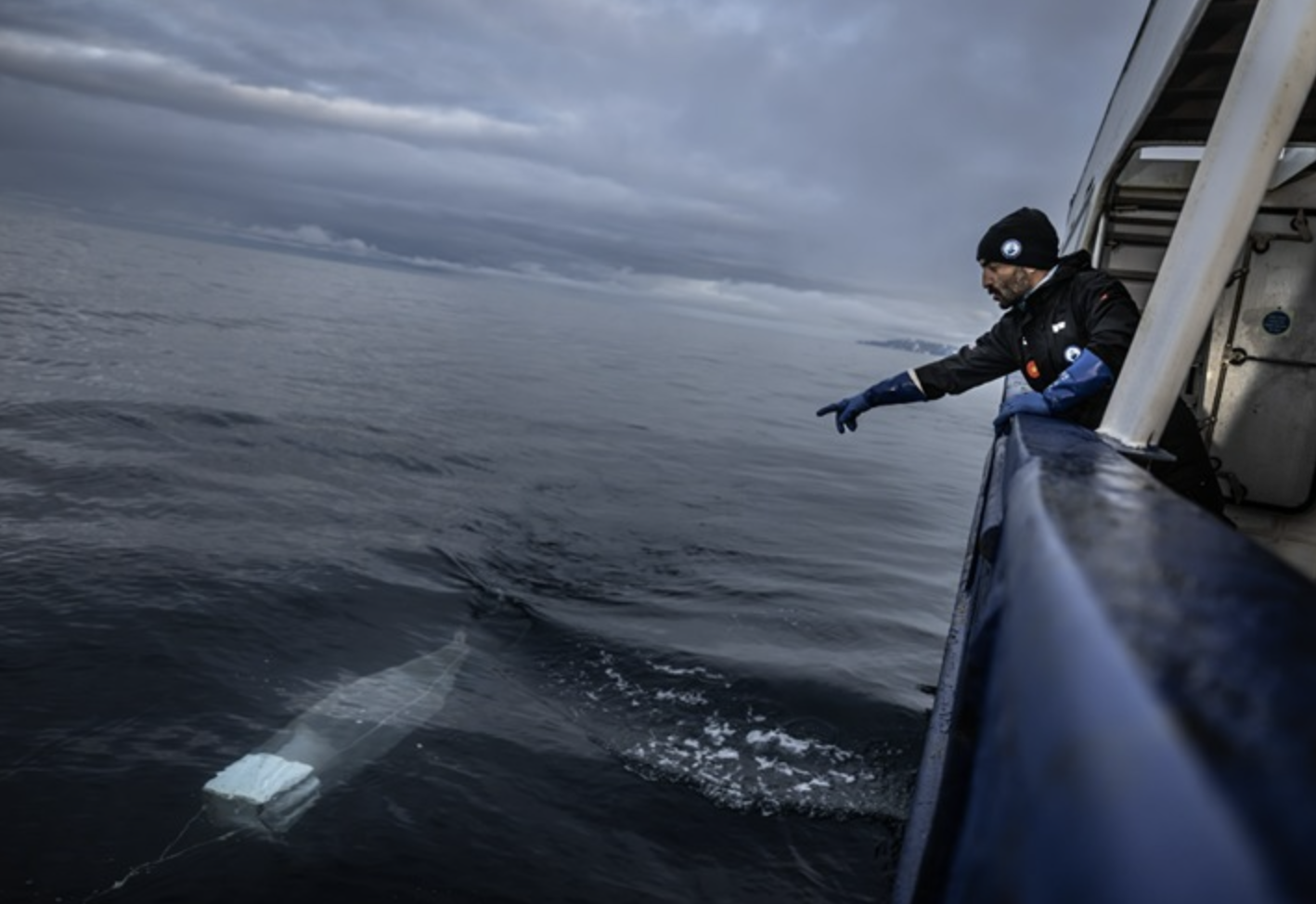 Ekran Resmi 2025 08 04 11.13.43