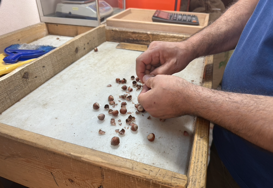 Ekran Resmi 2025 08 06 16.39.50