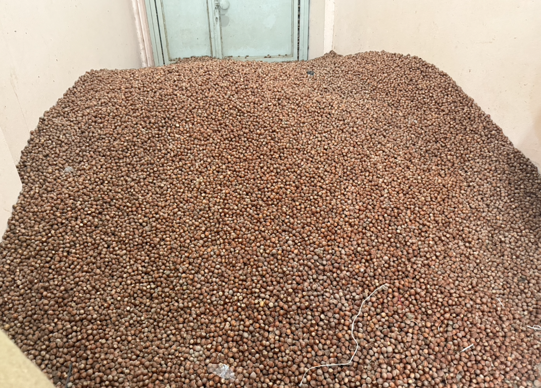 Ekran Resmi 2025 08 06 16.39.56