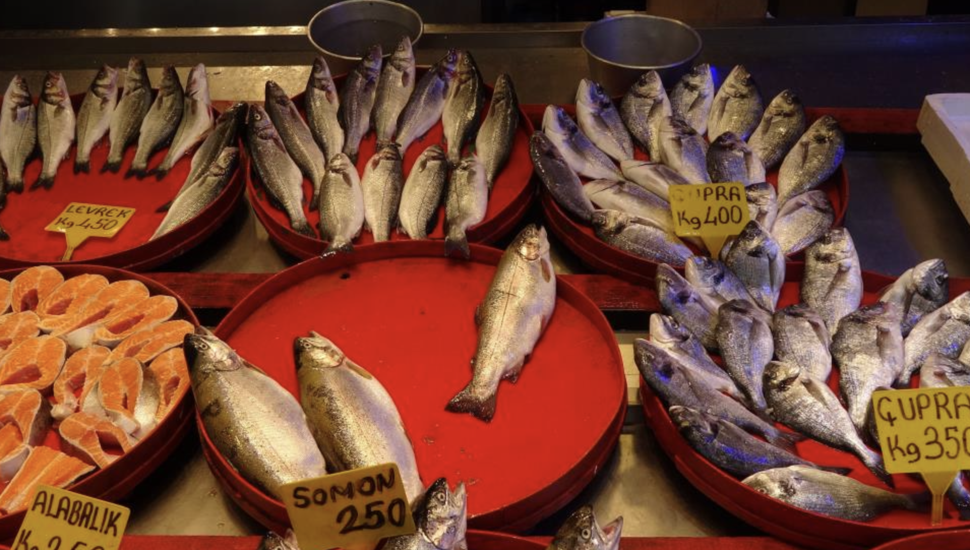 Ekran Resmi 2025 08 07 10.05.20