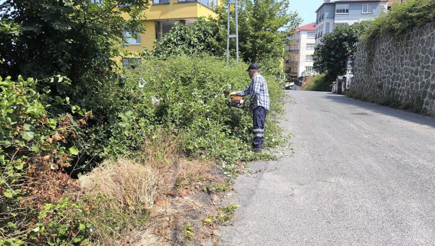 Ekran Resmi 2025 08 07 11.52.48-1