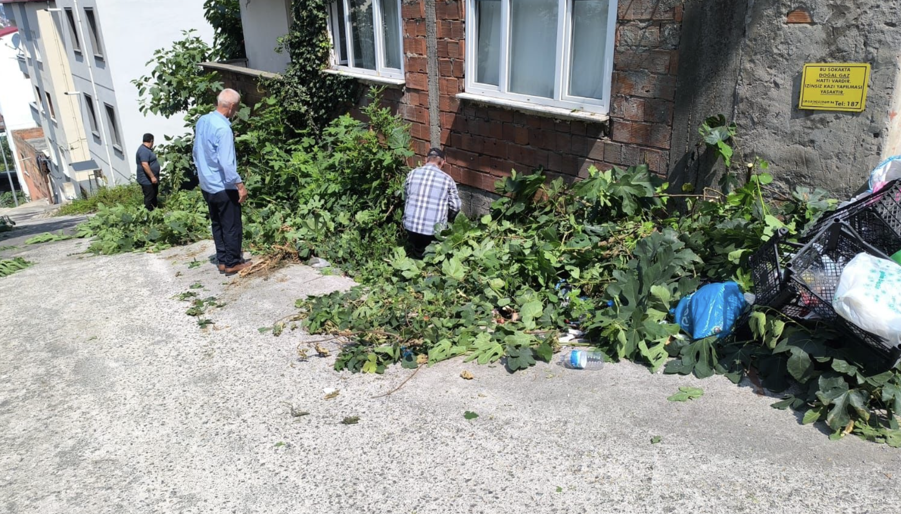 Ekran Resmi 2025 08 07 11.52.51-1