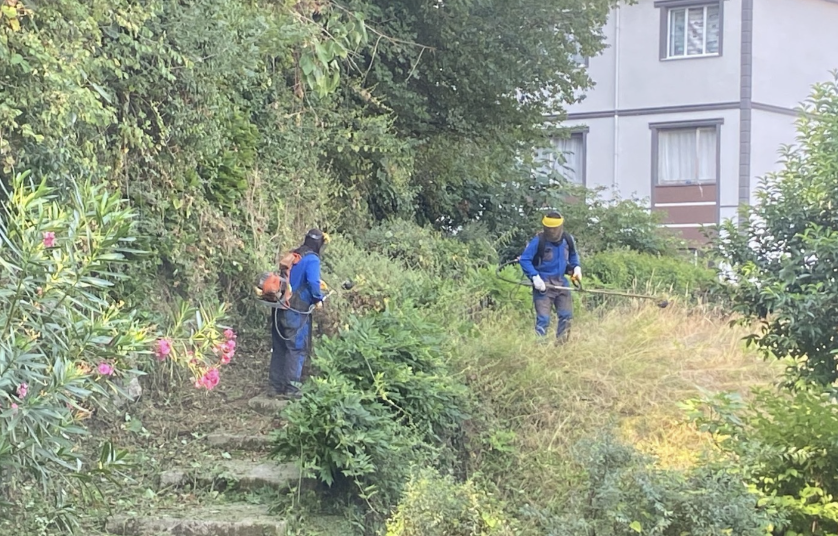 Ekran Resmi 2025 08 07 11.53.10