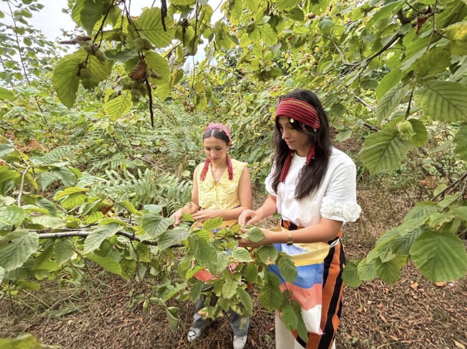 Ekran Resmi 2025 08 08 12.33.21