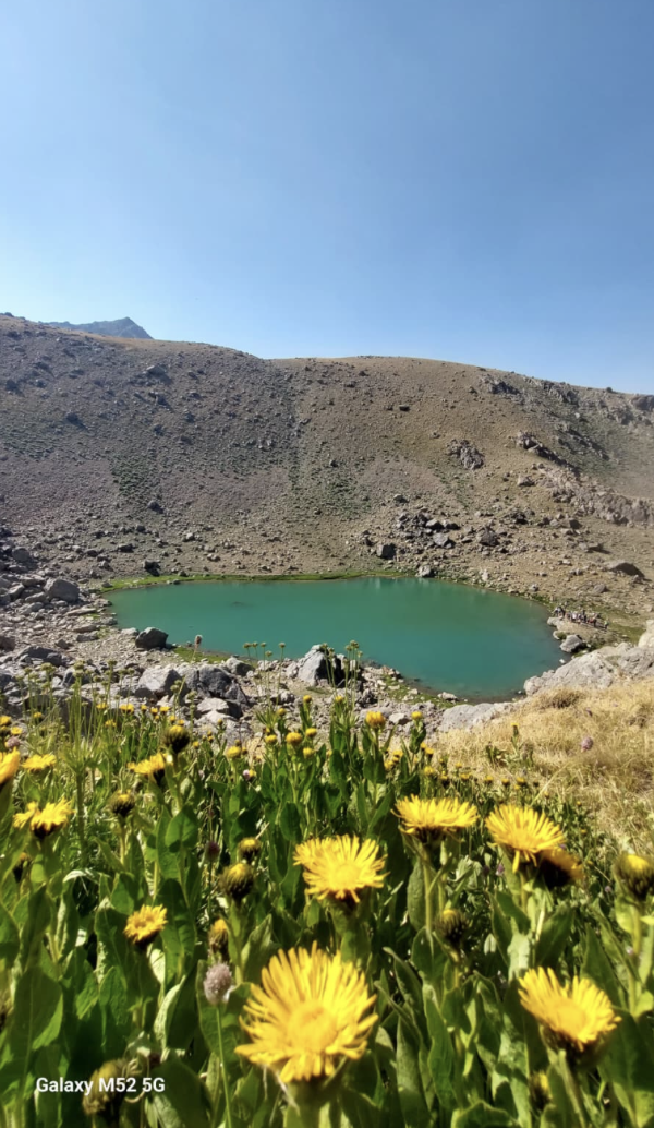 Ekran Resmi 2025 08 08 13.36.20