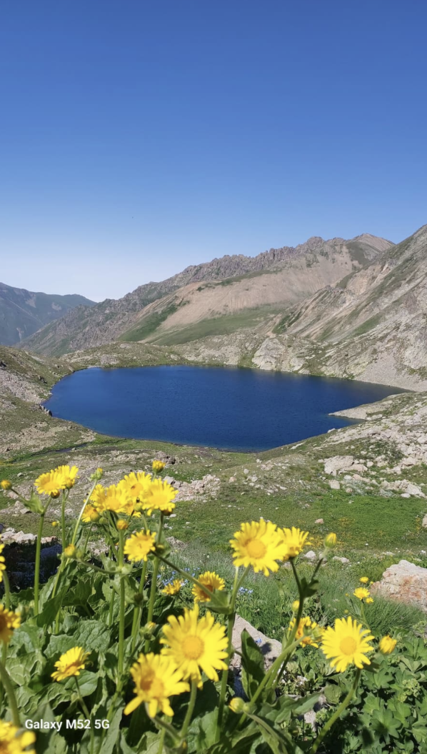 Ekran Resmi 2025 08 08 13.36.32