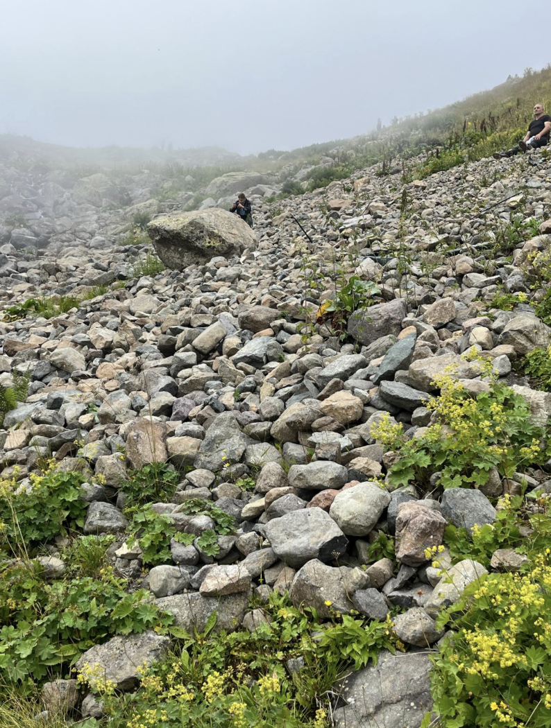 Ekran Resmi 2025 08 08 15.00.10