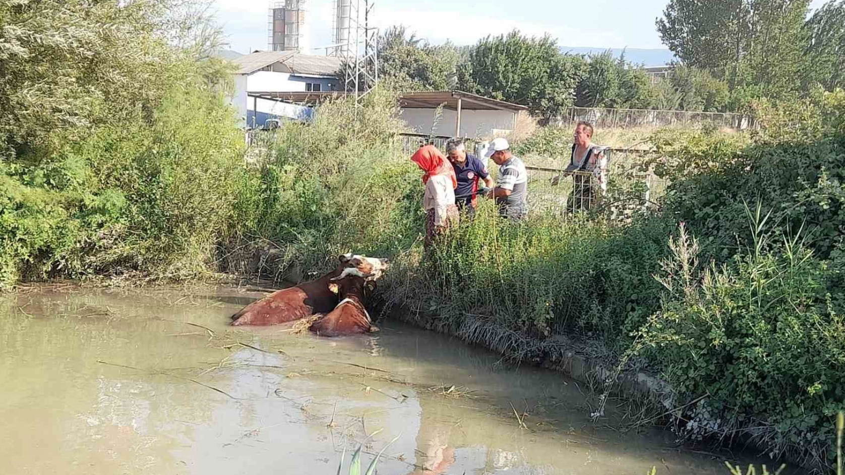 Ekran Resmi 2025 08 08 19.13.10