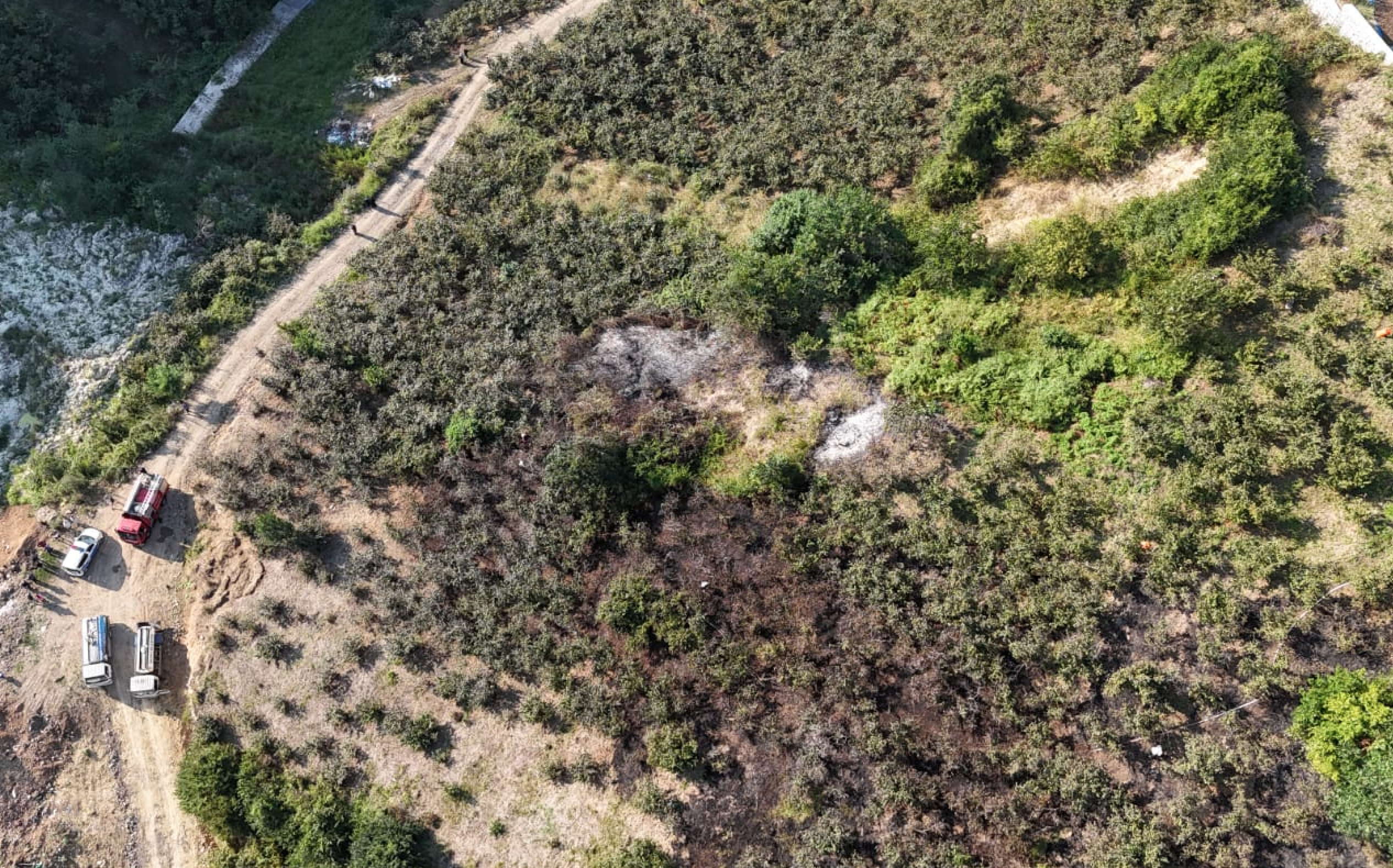 Ekran Resmi 2025 08 09 21.28.04