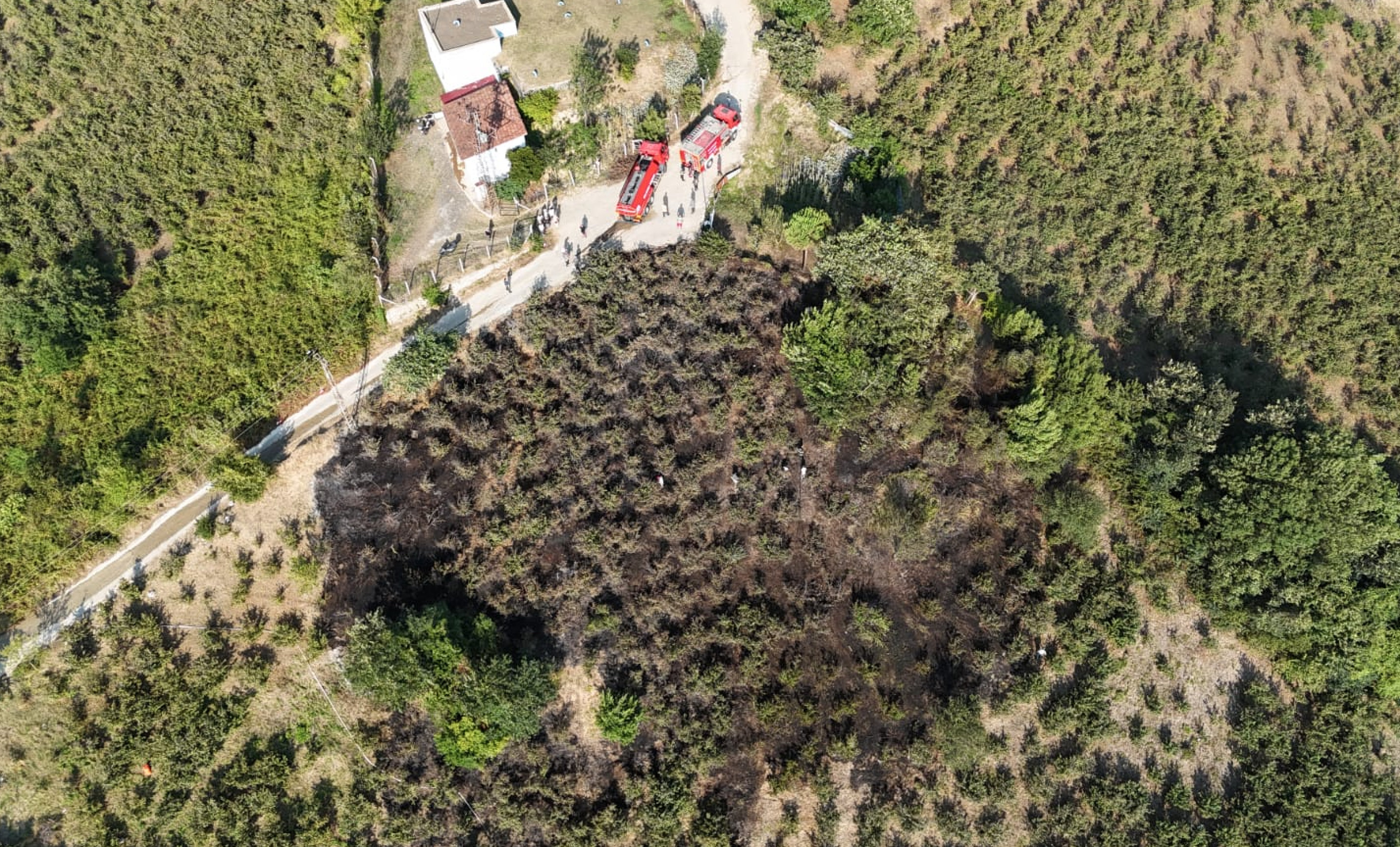 Ekran Resmi 2025 08 09 21.28.11