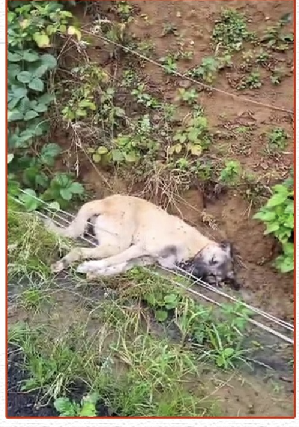 Ekran Resmi 2025 08 11 14.38.04