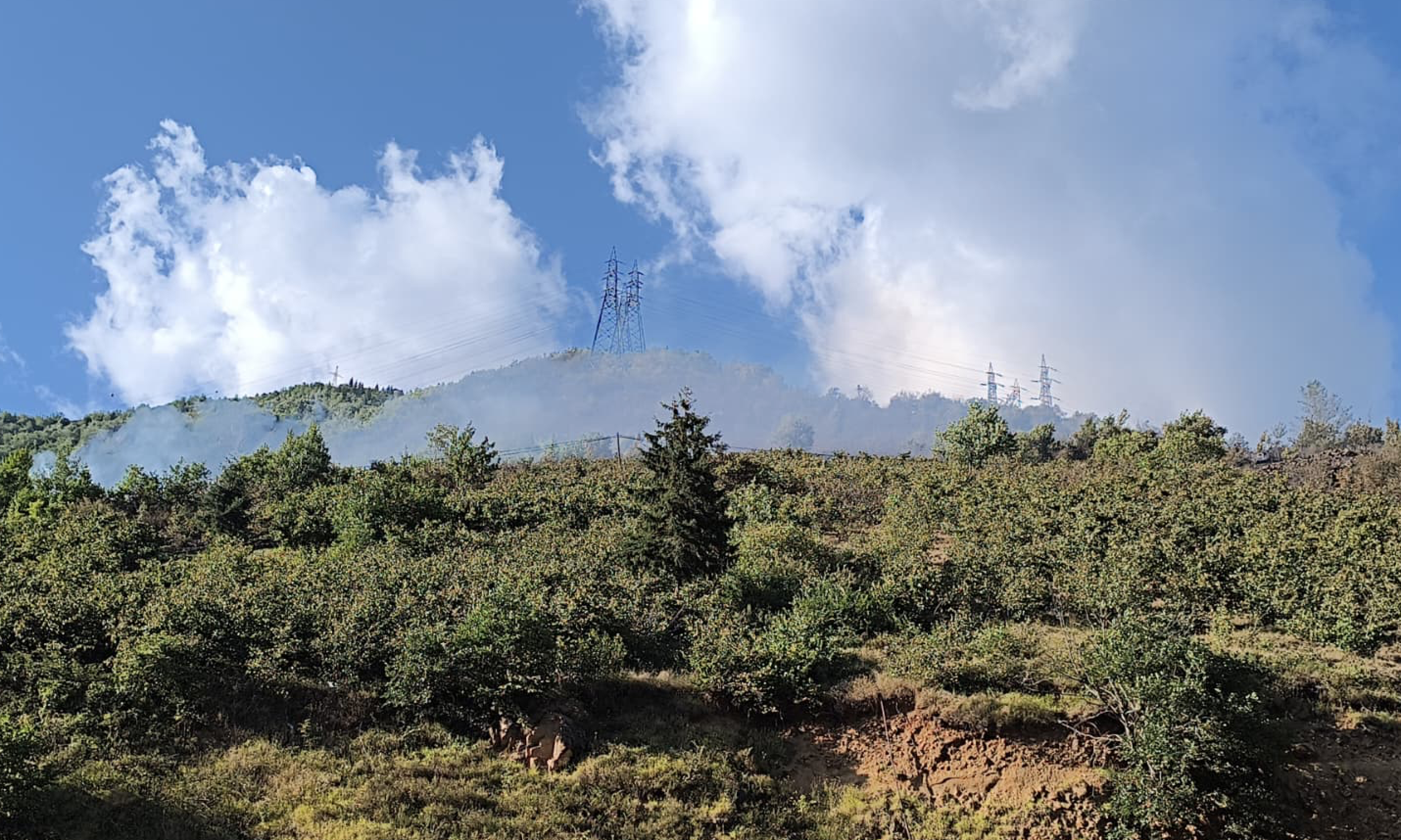 Ekran Resmi 2025 08 12 19.15.05