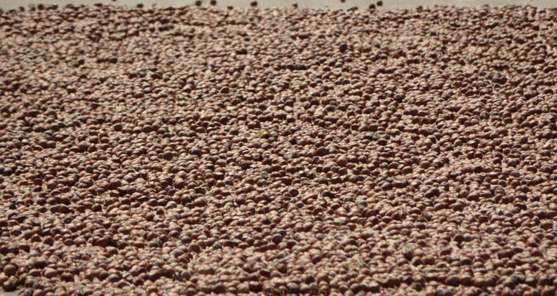 Ekran Resmi 2025 08 13 09.32.04