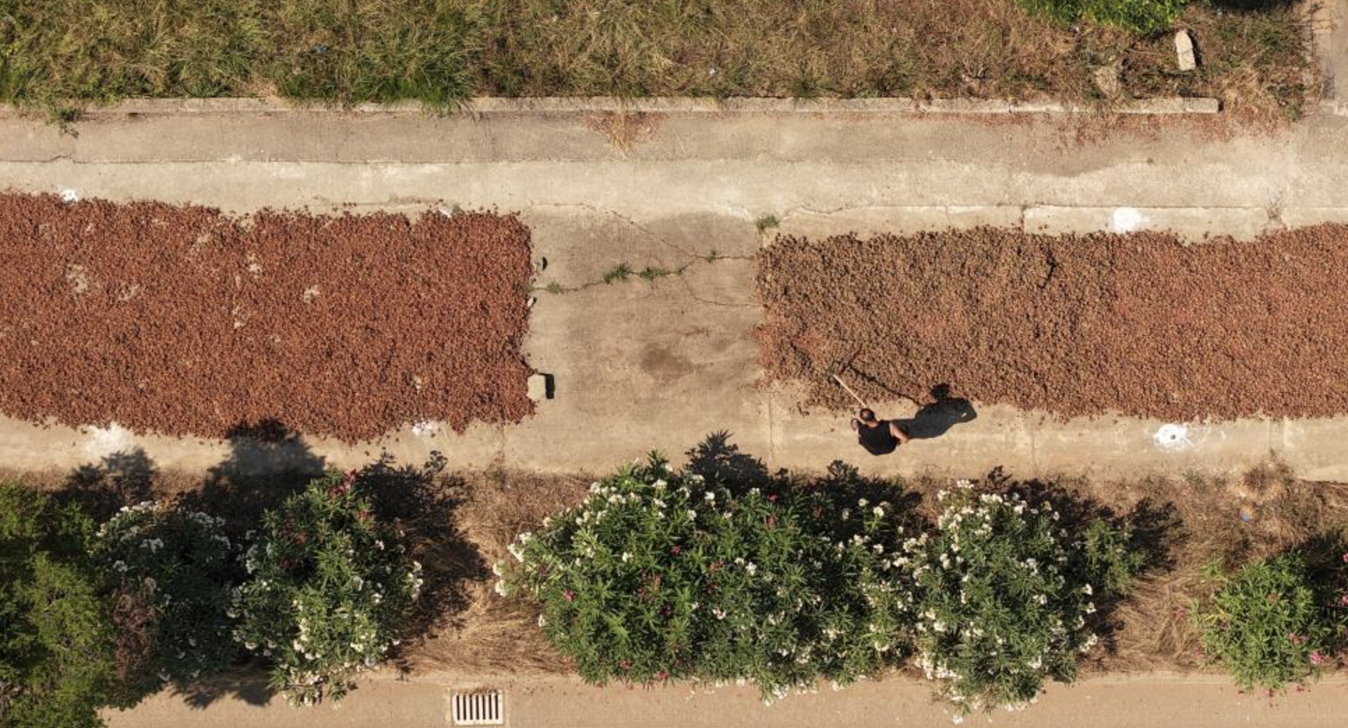 Ekran Resmi 2025 08 13 09.32.29