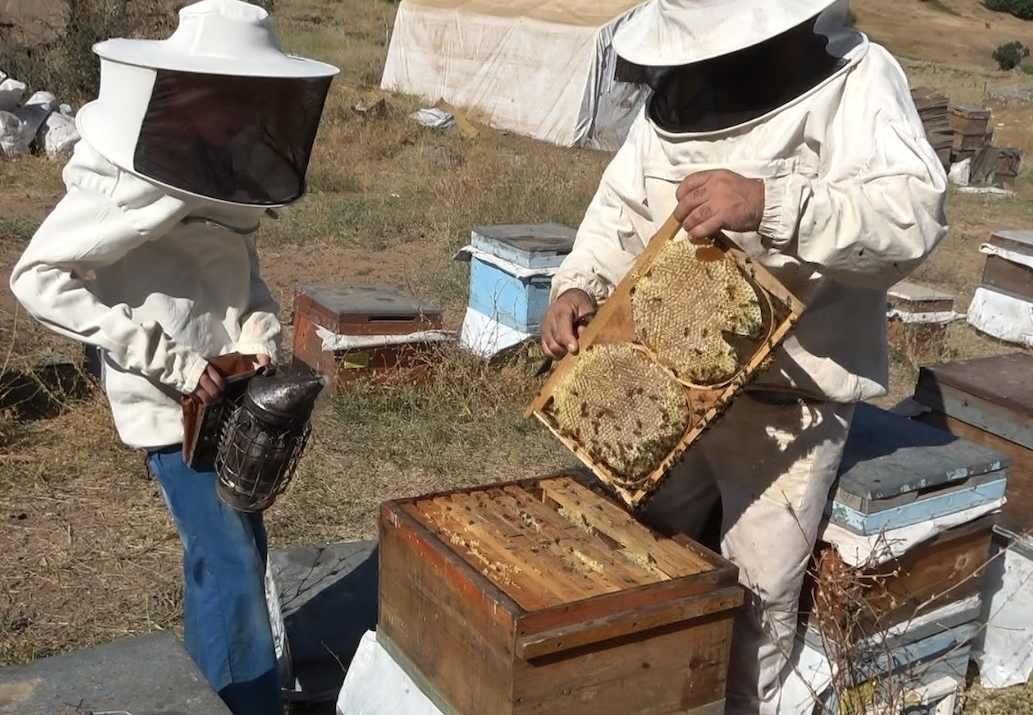 Ekran Resmi 2025 08 13 12.52.13