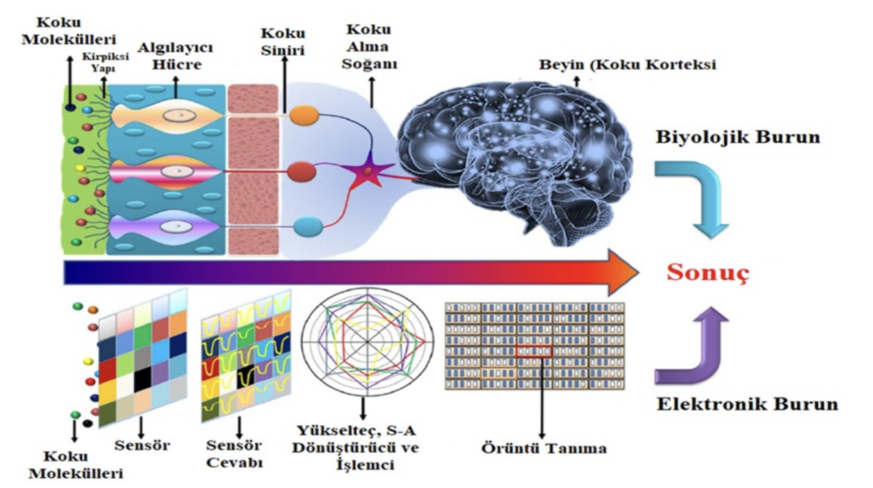 Ekran Resmi 2025 08 13 14.13.44