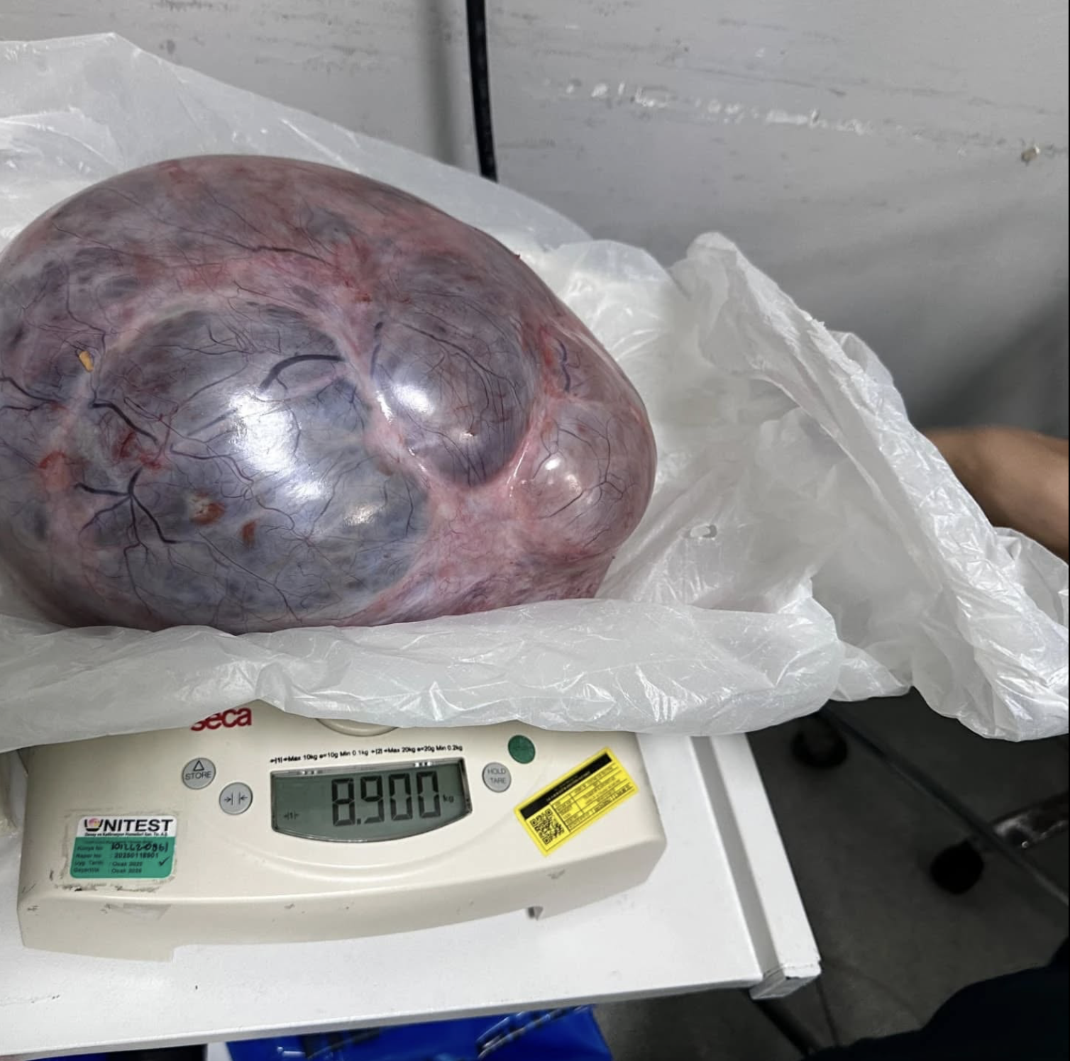 Ekran Resmi 2025 08 13 14.29.12