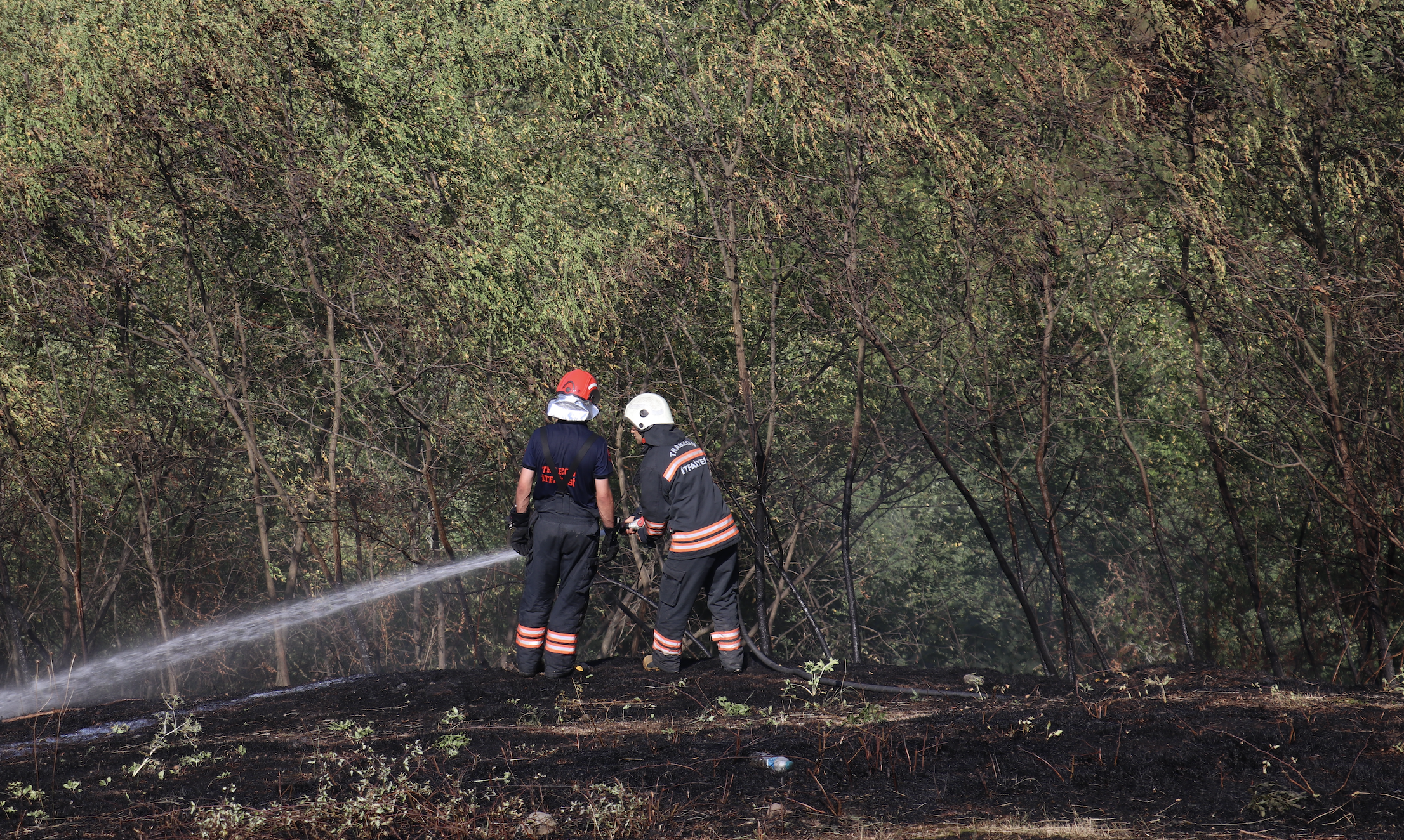 Ekran Resmi 2025 08 13 17.22.59