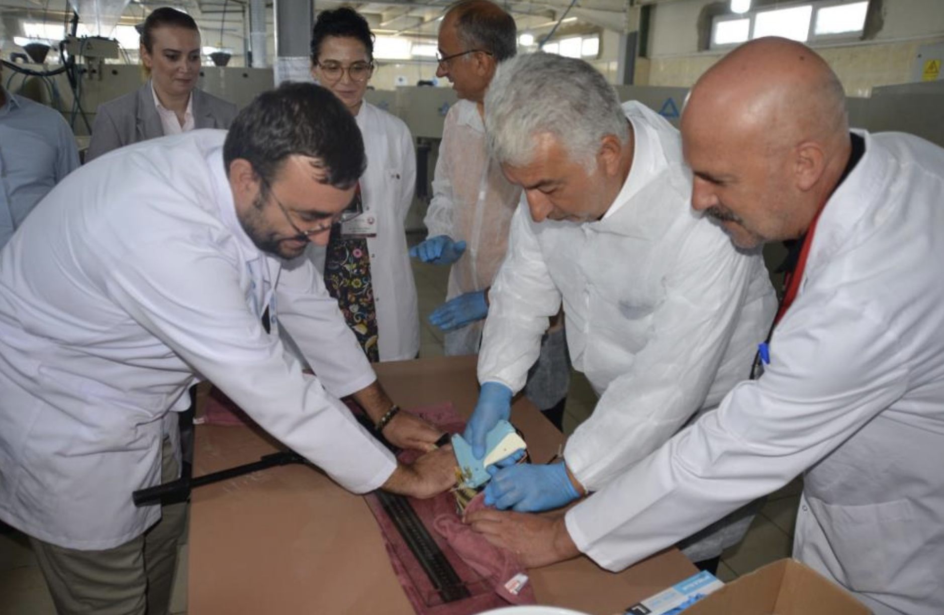 Ekran Resmi 2025 08 14 11.16.05