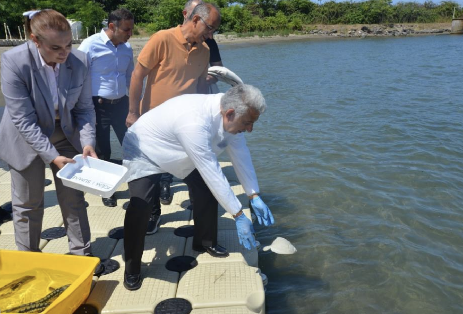 Ekran Resmi 2025 08 14 11.16.08