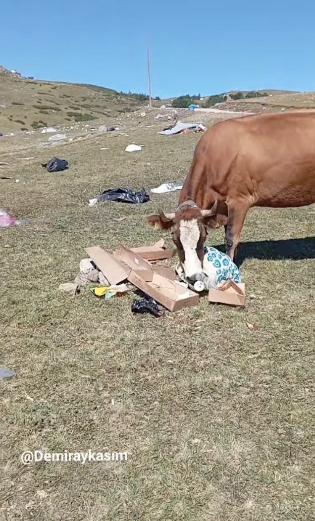 Ekran Resmi 2025 08 18 11.59.29