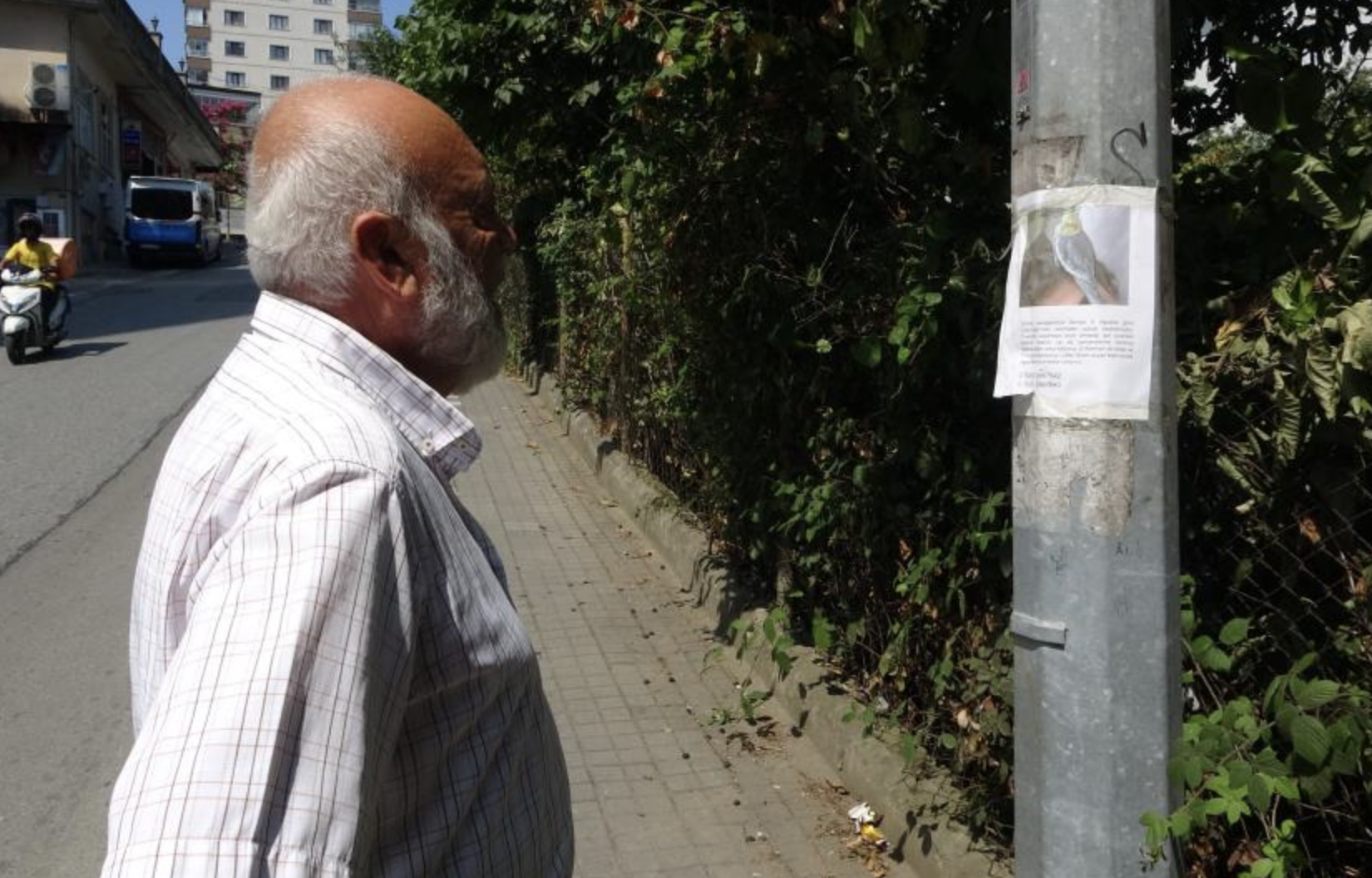 Ekran Resmi 2025 08 20 09.23.18