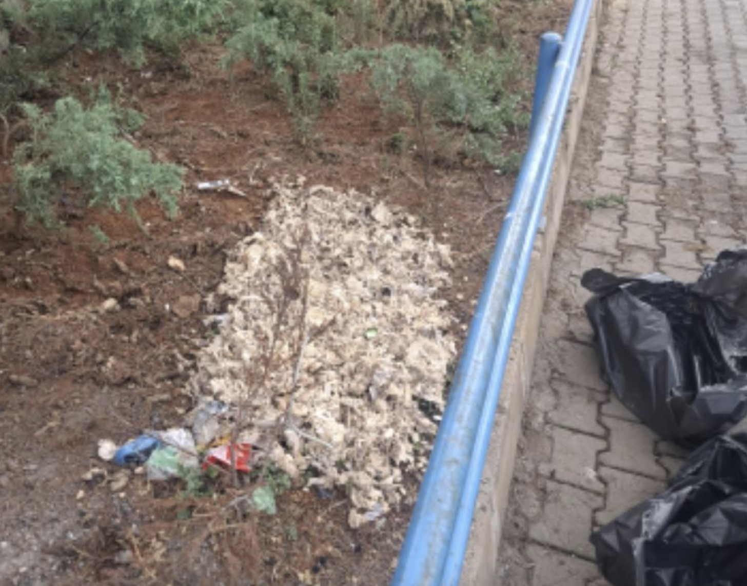 Ekran Resmi 2025 08 21 16.17.12