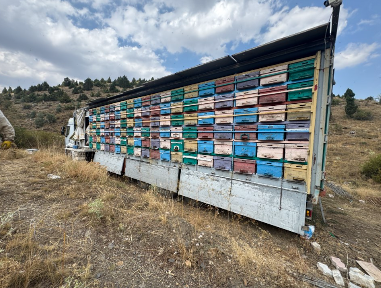 Ekran Resmi 2025 08 22 11.21.34