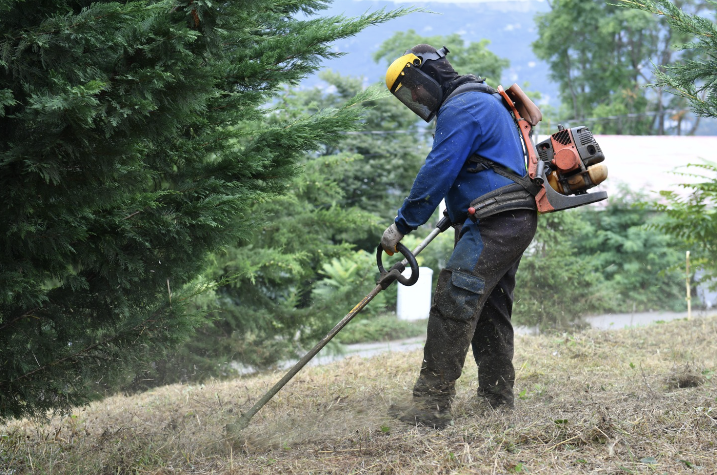 Ekran Resmi 2025 08 22 13.56.51