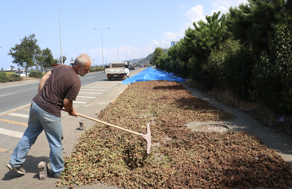 Ekran Resmi 2025 08 24 13.16.09