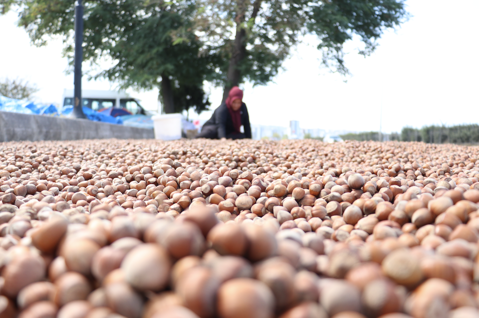 Ekran Resmi 2025 08 24 13.16.16