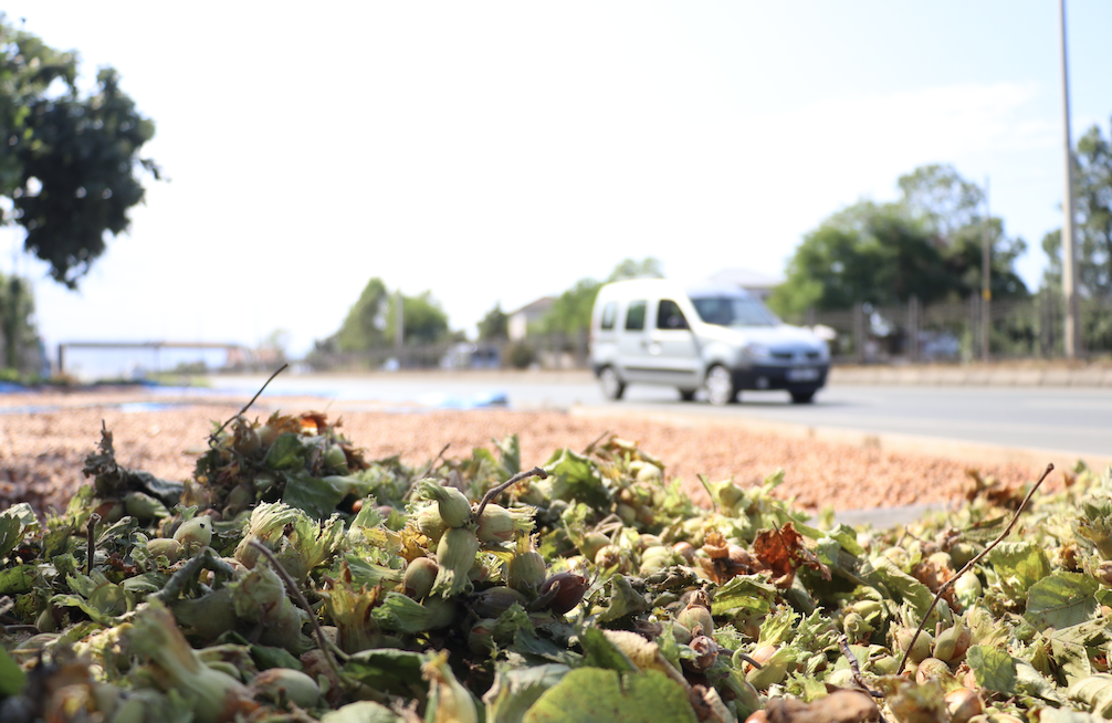 Ekran Resmi 2025 08 24 13.16.30