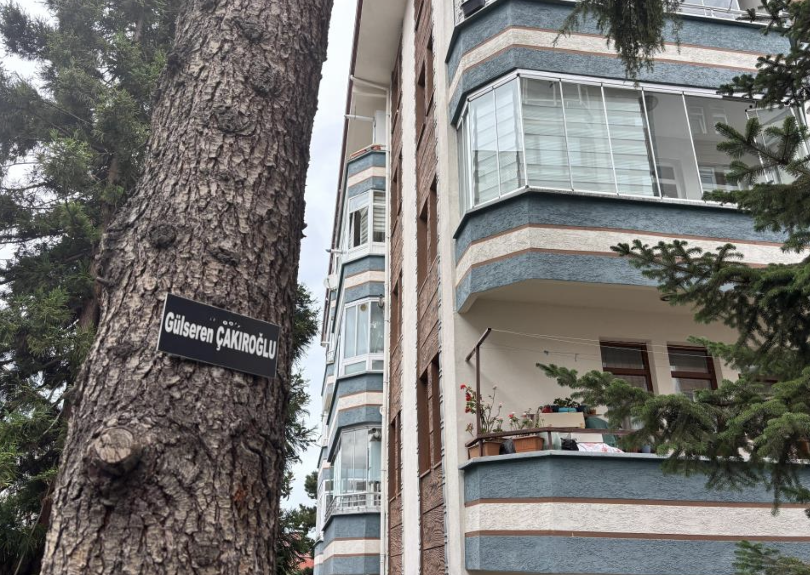 Ekran Resmi 2025 08 26 09.53.55