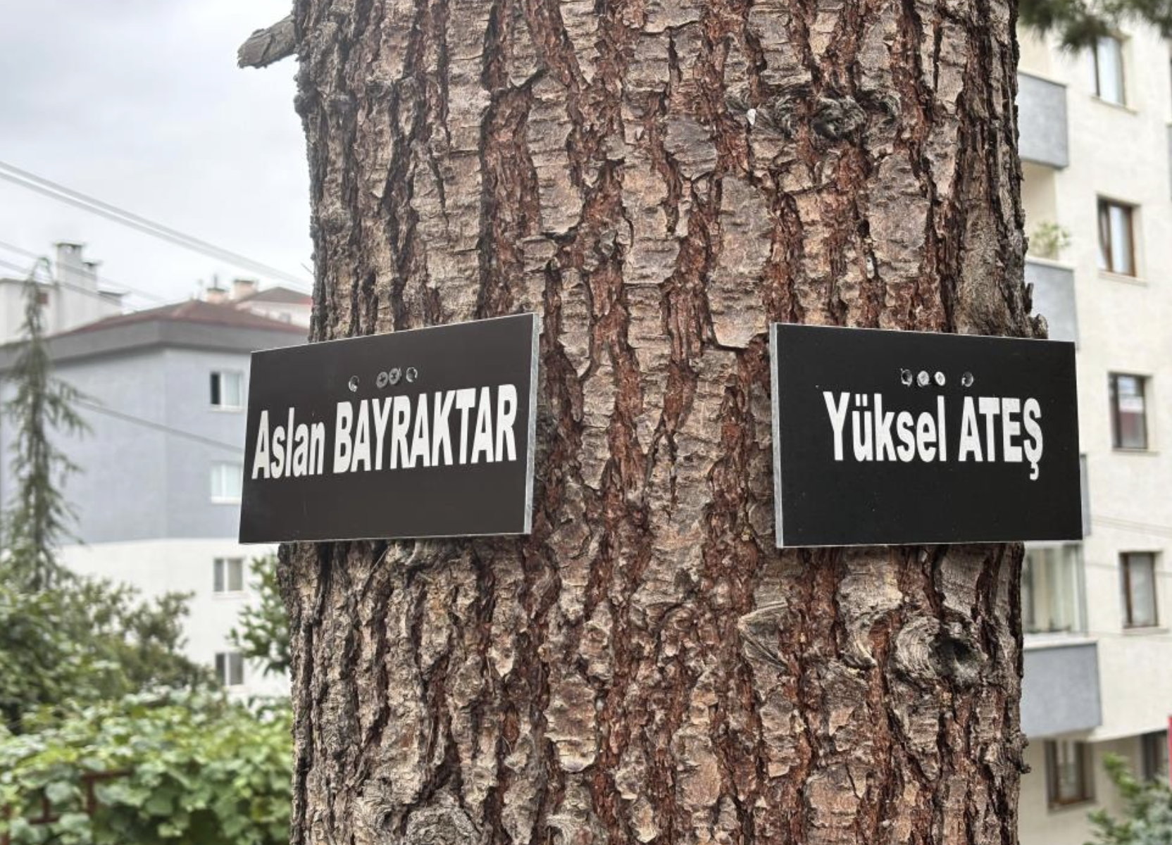 Ekran Resmi 2025 08 26 09.53.59