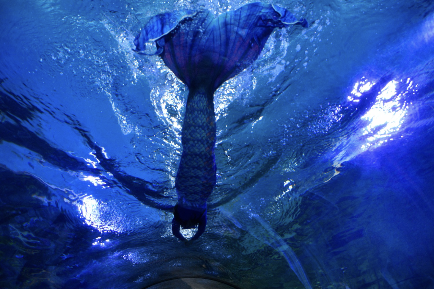 Ekran Resmi 2025 08 29 10.12.58