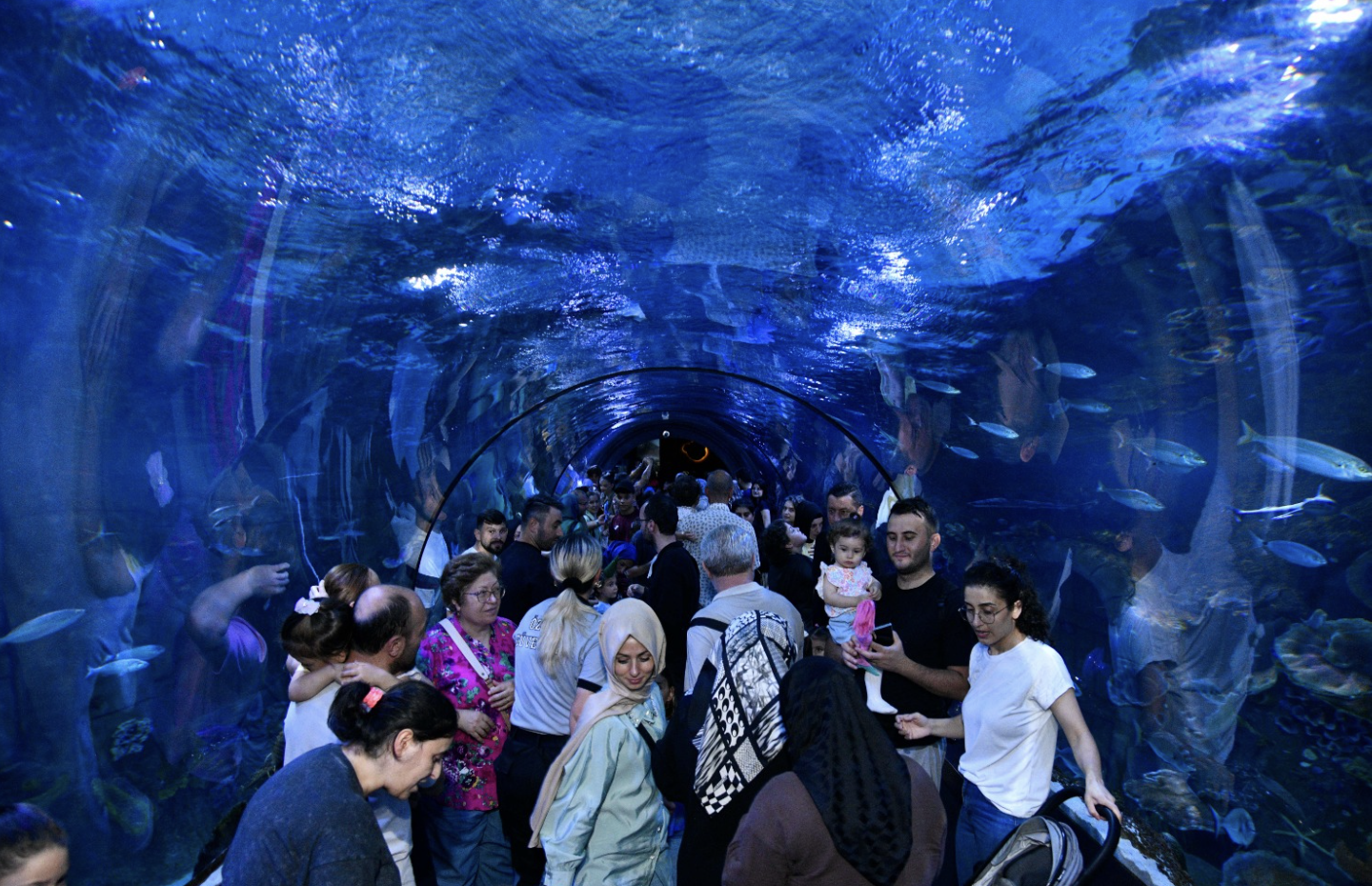 Ekran Resmi 2025 08 29 10.13.06