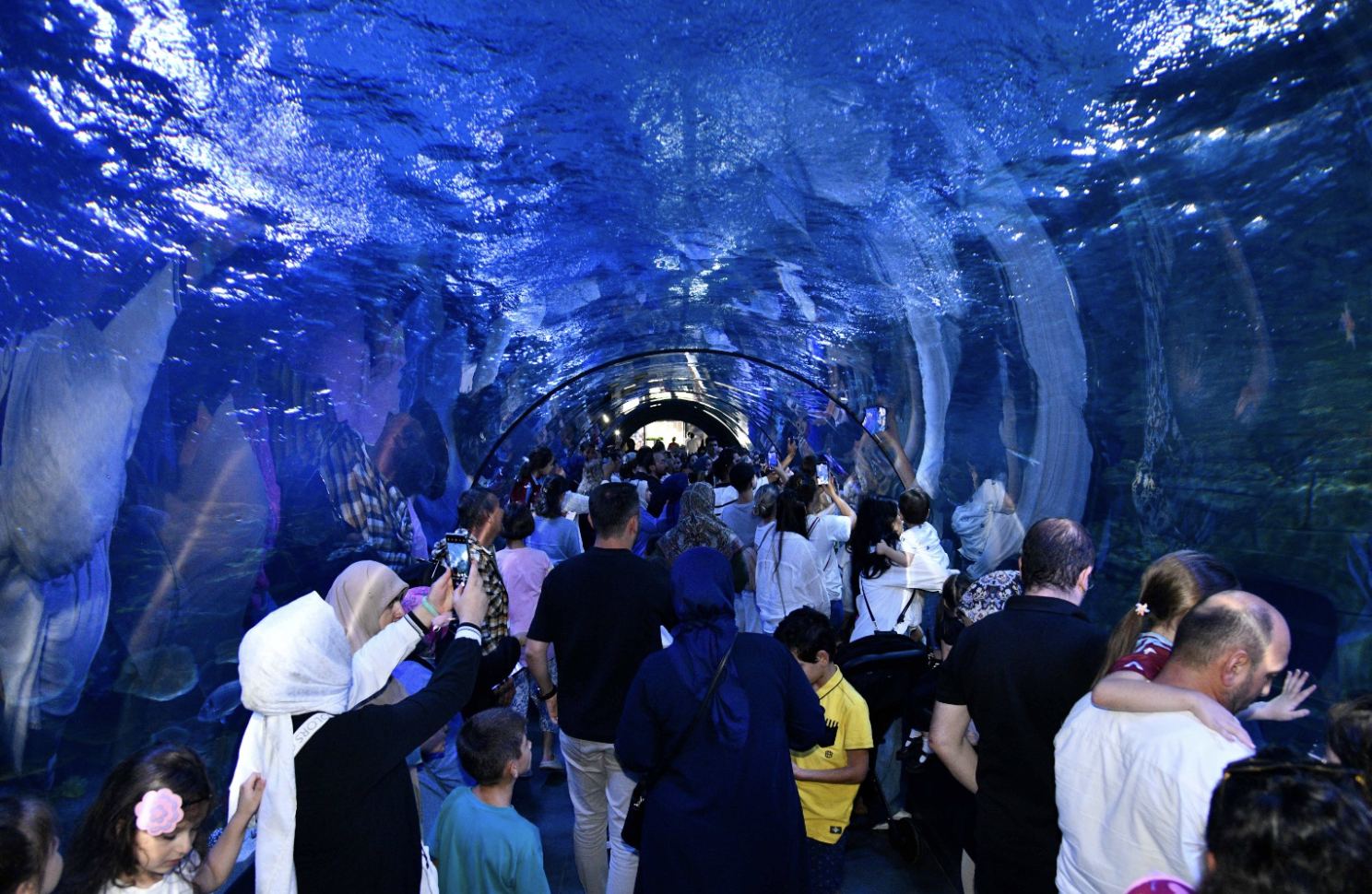 Ekran Resmi 2025 08 29 10.13.18