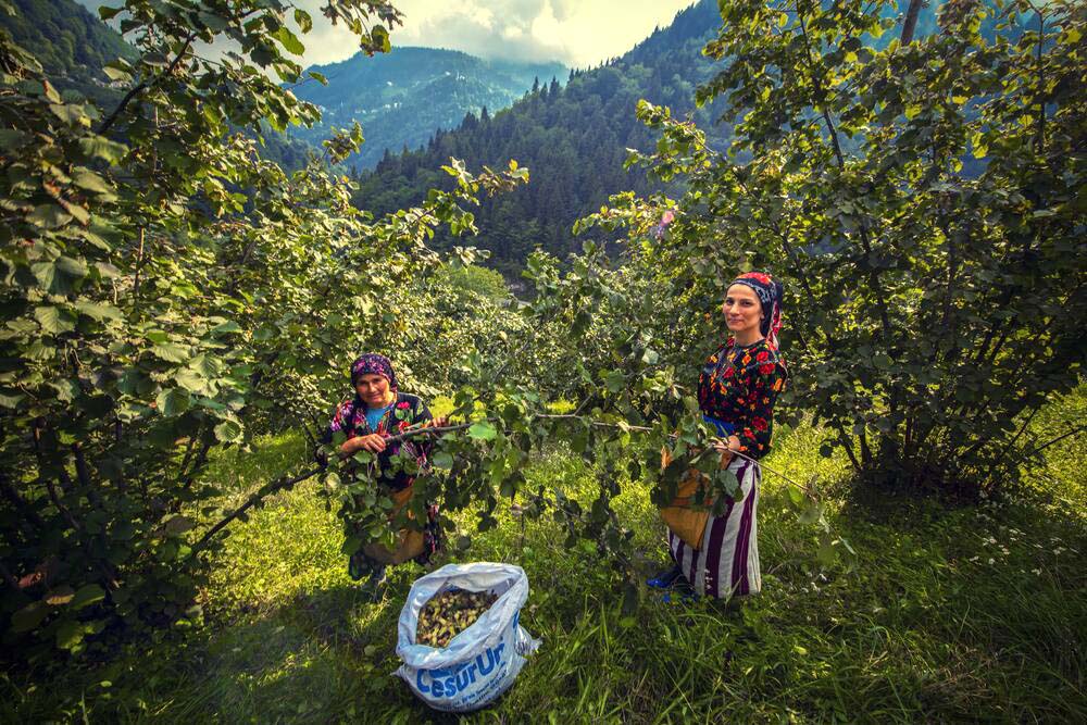 F I N D I K T A D U S U K R E K O L T E Y E R A G M E N R E K O R I H 864237 256642