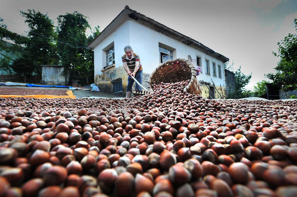 F I N D I K T A D U S U K R E K O L T E Y E R A G M E N R E K O R I H 864238 256642