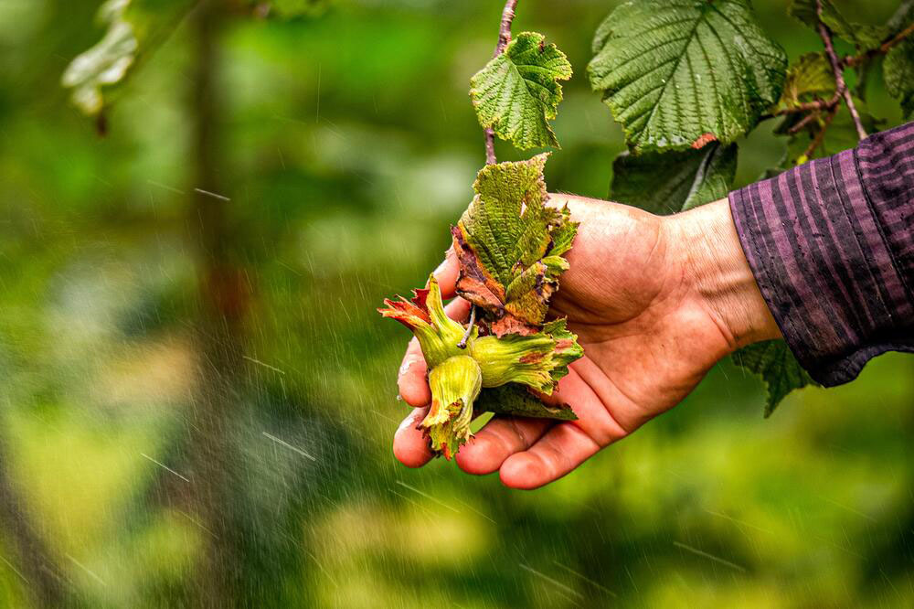 F I N D I K T A D U S U K R E K O L T E Y E R A G M E N R E K O R I H 864239 256642