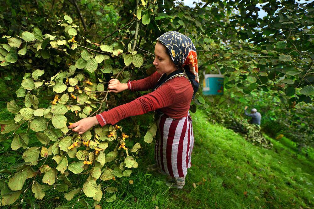 F I N D I K T A D U S U K R E K O L T E Y E R A G M E N R E K O R I H 864240 256642