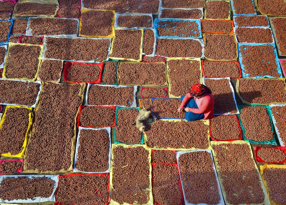 F I N D I K T A D U S U K R E K O L T E Y E R A G M E N R E K O R I H 864241 256642