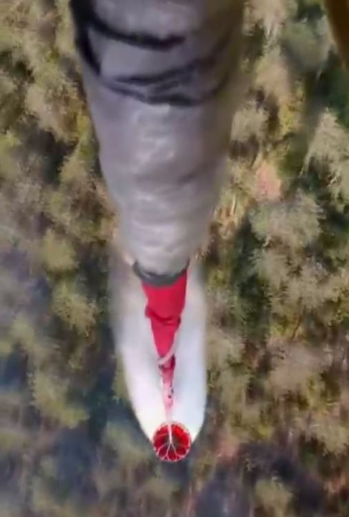 S I N O P T A O R M A N Y A N G I N I 856923 254229