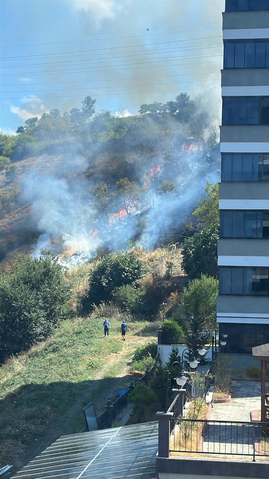 Whatsapp Image 2025 08 13 At 15.10.02