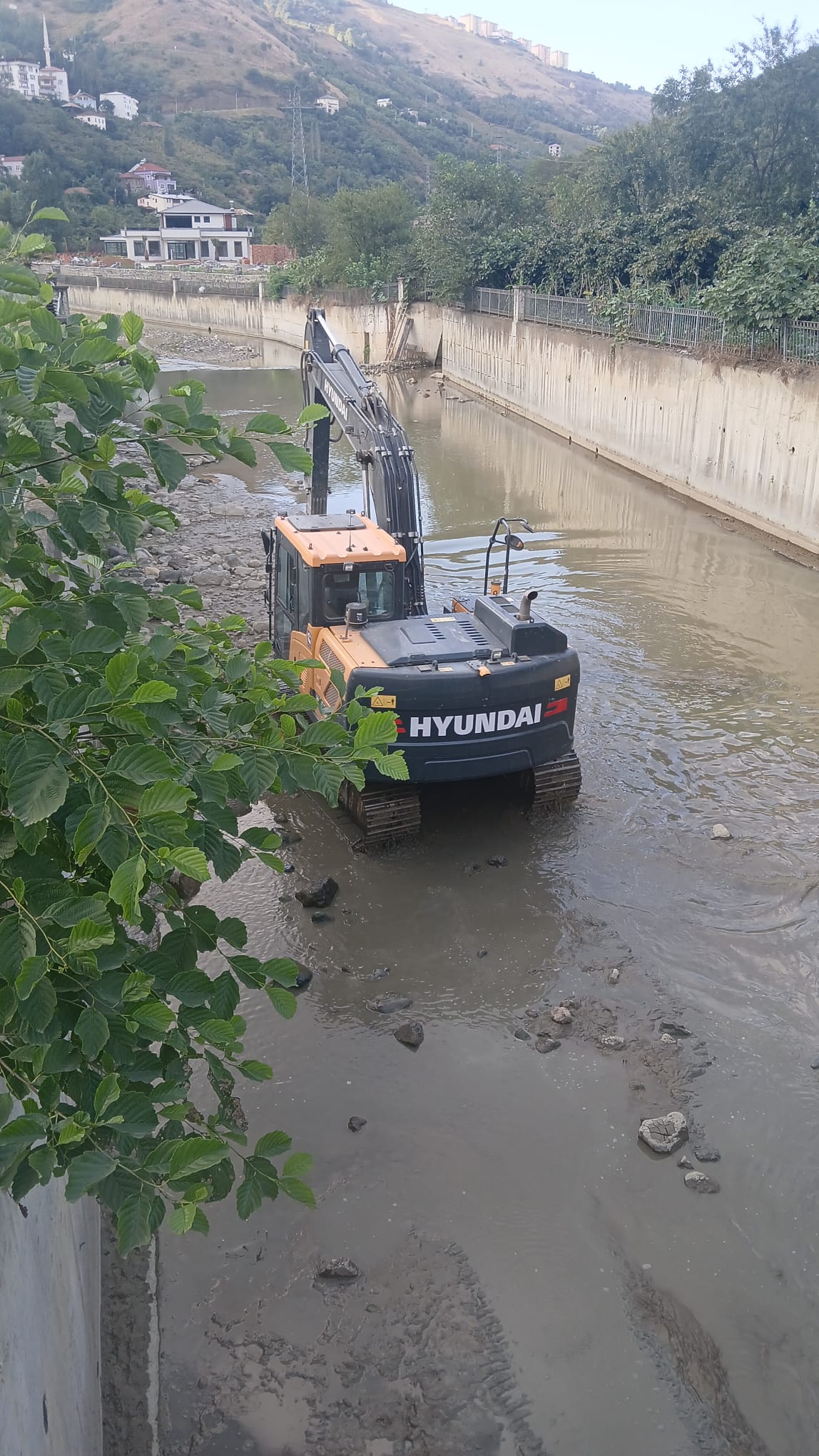 Whatsapp Image 2025 08 15 At 18.50.52