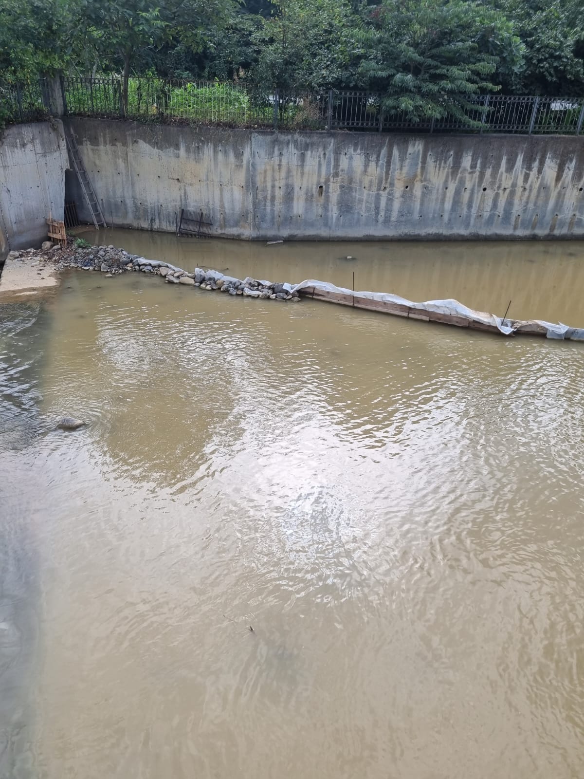 Whatsapp Image 2025 08 15 At 18.53.03 (1)